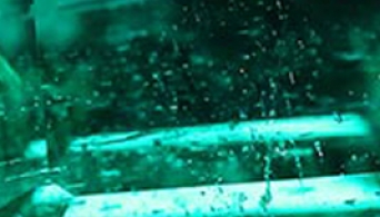t003